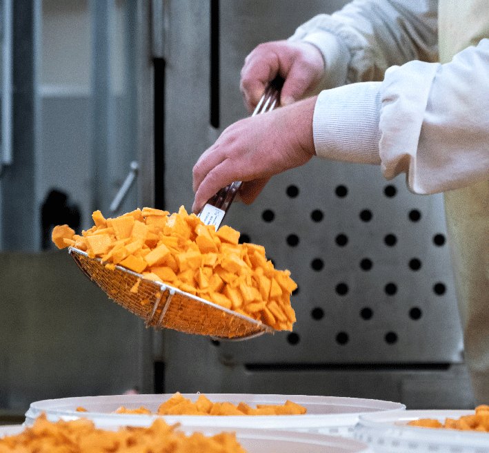 Femme tenant un panier de pommes dans un verger